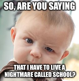 Skeptical Baby | SO, ARE YOU SAYING; THAT I HAVE TO LIVE A NIGHTMARE CALLED SCHOOL? | image tagged in memes,skeptical baby | made w/ Imgflip meme maker