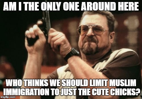 Am I The Only One Around Here | AM I THE ONLY ONE AROUND HERE; WHO THINKS WE SHOULD LIMIT MUSLIM IMMIGRATION TO JUST THE CUTE CHICKS? | image tagged in memes,am i the only one around here | made w/ Imgflip meme maker