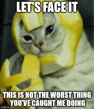 Doth mother know you weareth her grapes? - Uh, drapes! I meant drapes. | LET'S FACE IT; THIS IS NOT THE WORST THING YOU'VE CAUGHT ME DOING | image tagged in memes,iron man,cat | made w/ Imgflip meme maker