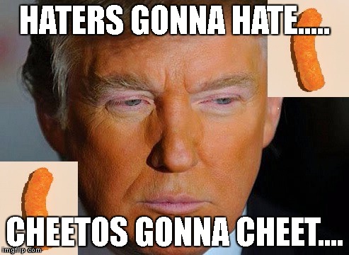 Tay Tay's NEW song..... | HATERS GONNA HATE..... CHEETOS GONNA CHEET.... | image tagged in trump,cheetos | made w/ Imgflip meme maker