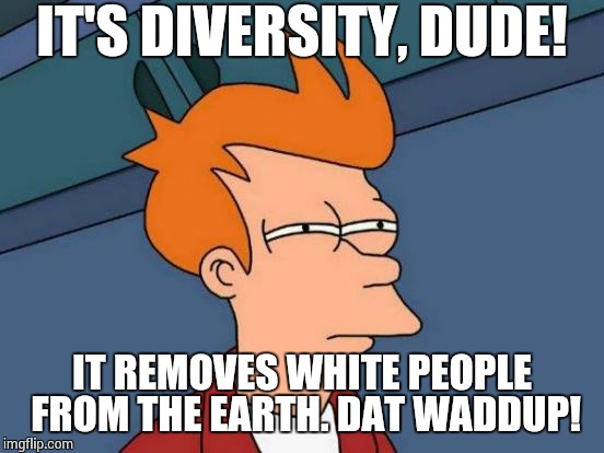 Futurama Fry | IT'S DIVERSITY, DUDE! IT REMOVES WHITE PEOPLE FROM THE EARTH. DAT WADDUP! | image tagged in memes,futurama fry | made w/ Imgflip meme maker