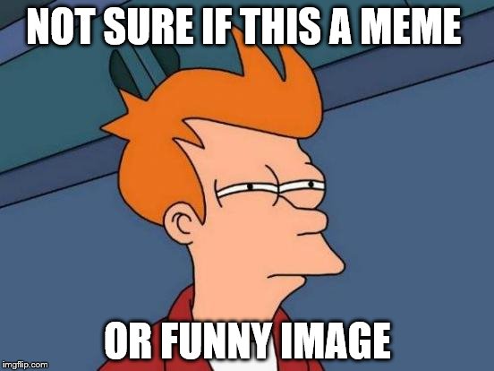 Futurama Fry Meme | NOT SURE IF THIS A MEME; OR FUNNY IMAGE | image tagged in memes,futurama fry | made w/ Imgflip meme maker