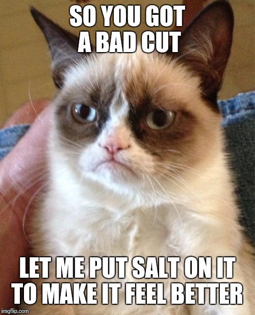 Grumpy Cat Meme | SO YOU GOT A BAD CUT; LET ME PUT SALT ON IT TO MAKE IT FEEL BETTER | image tagged in memes,grumpy cat | made w/ Imgflip meme maker