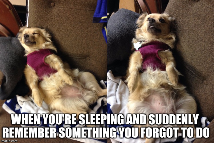WHEN YOU'RE SLEEPING AND SUDDENLY REMEMBER SOMETHING YOU FORGOT TO DO | made w/ Imgflip meme maker