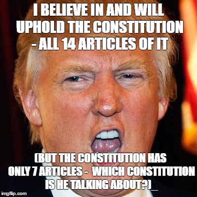 I BELIEVE IN AND WILL UPHOLD THE CONSTITUTION - ALL 14 ARTICLES OF IT; (BUT THE CONSTITUTION HAS ONLY 7 ARTICLES -  WHICH CONSTITUTION IS HE TALKING ABOUT?)_ | image tagged in trumpidiocy | made w/ Imgflip meme maker