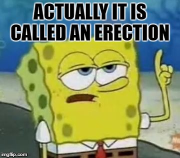 thank you for the information | ACTUALLY IT IS CALLED AN ERECTION | image tagged in memes,ill have you know spongebob | made w/ Imgflip meme maker