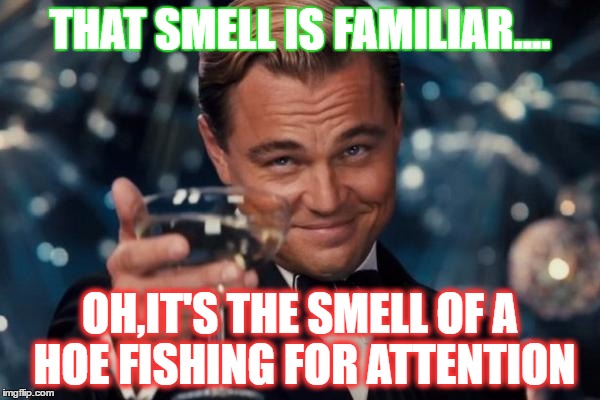 Leonardo Dicaprio Cheers | THAT SMELL IS FAMILIAR.... OH,IT'S THE SMELL OF A HOE FISHING FOR ATTENTION | image tagged in memes,leonardo dicaprio cheers | made w/ Imgflip meme maker