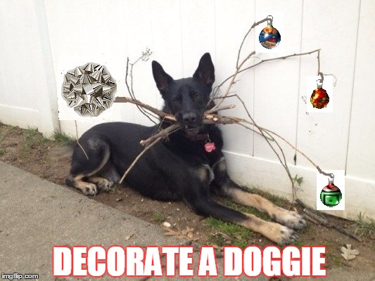 The Traditional Decorating of the Sticks | DECORATE A DOGGIE | image tagged in funny dogs,dogs | made w/ Imgflip meme maker