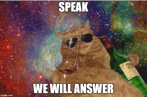 Cats n wine | SPEAK; WE WILL ANSWER | image tagged in cats n wine | made w/ Imgflip meme maker