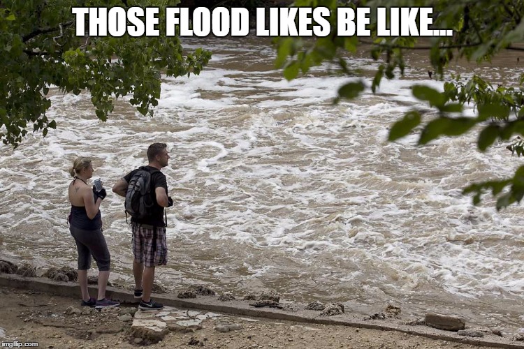 Flooding my Notifs... | THOSE FLOOD LIKES BE LIKE... | image tagged in facebook,memes | made w/ Imgflip meme maker