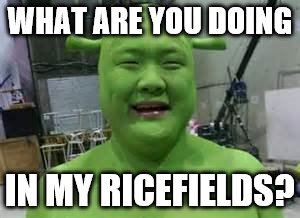 WHAT ARE YOU DOING; IN MY RICEFIELDS? | image tagged in shrek,asian,memes | made w/ Imgflip meme maker