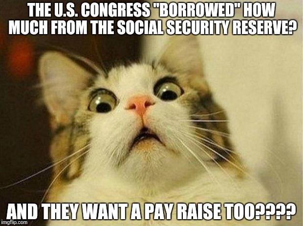 Scared Cat | THE U.S. CONGRESS "BORROWED" HOW MUCH FROM THE SOCIAL SECURITY RESERVE? AND THEY WANT A PAY RAISE TOO???? | image tagged in memes,scared cat | made w/ Imgflip meme maker