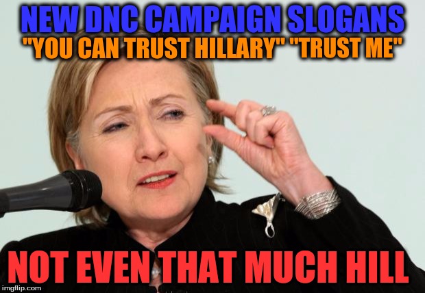 Hillary Clinton Fingers | NEW DNC CAMPAIGN SLOGANS; "YOU CAN TRUST HILLARY"; "TRUST ME"; NOT EVEN THAT MUCH HILL | image tagged in hillary clinton fingers | made w/ Imgflip meme maker