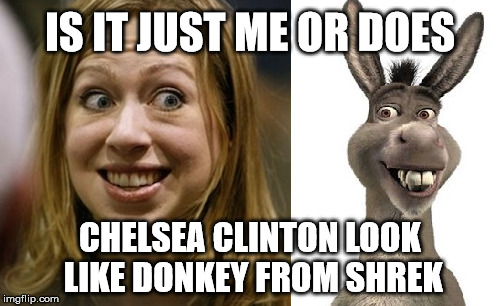 Chelsea and Donkey connection | IS IT JUST ME OR DOES; CHELSEA CLINTON LOOK LIKE DONKEY FROM SHREK | image tagged in chelsea clinton,donkey from shrek,shrek,hillary clinton | made w/ Imgflip meme maker