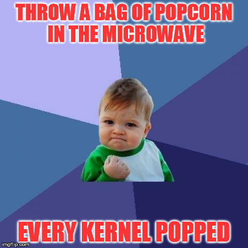 My daughter was very pleased | THROW A BAG OF POPCORN IN THE MICROWAVE; EVERY KERNEL POPPED | image tagged in memes,success kid | made w/ Imgflip meme maker