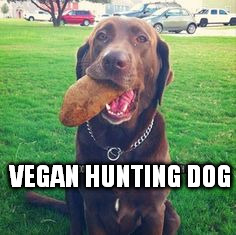 VEGAN HUNTING DOG | image tagged in vegan dog | made w/ Imgflip meme maker