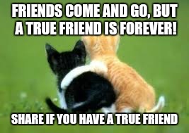 bff FOREVER | FRIENDS COME AND GO, BUT A TRUE FRIEND IS FOREVER! SHARE IF YOU HAVE A TRUE FRIEND | image tagged in bff forever | made w/ Imgflip meme maker
