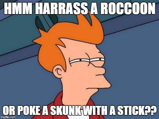 Futurama Fry | HMM HARRASS A ROCCOON; OR POKE A SKUNK WITH A STICK?? | image tagged in memes,futurama fry | made w/ Imgflip meme maker