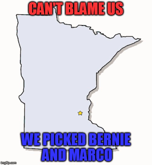 CAN'T BLAME US WE PICKED BERNIE AND MARCO | image tagged in minnesota outline | made w/ Imgflip meme maker