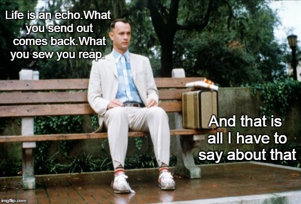 Forrest Gump | Life is an echo.What you send out comes back.What you sew you reap. And that is all I have to say about that | image tagged in forrest gump | made w/ Imgflip meme maker