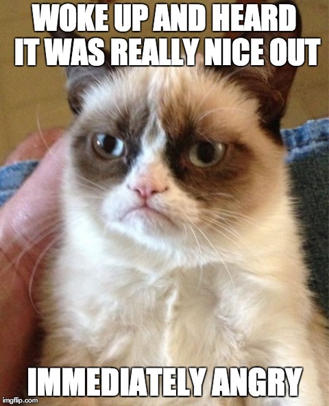 Grumpy Cat Meme | WOKE UP AND HEARD IT WAS REALLY NICE OUT IMMEDIATELY ANGRY | image tagged in memes,grumpy cat | made w/ Imgflip meme maker