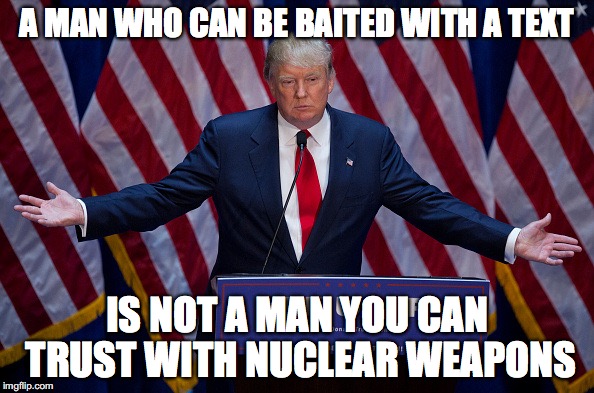 Donald Trump | A MAN WHO CAN BE BAITED WITH A TEXT; IS NOT A MAN YOU CAN TRUST WITH NUCLEAR WEAPONS | image tagged in donald trump | made w/ Imgflip meme maker