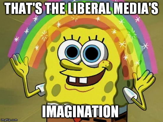 THAT'S THE LIBERAL MEDIA'S IMAGINATION | made w/ Imgflip meme maker