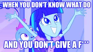 Twilight Sparkle | WHEN YOU DON'T KNOW WHAT DO; AND YOU DON'T GIVE A F*** | image tagged in twilight sparkle | made w/ Imgflip meme maker