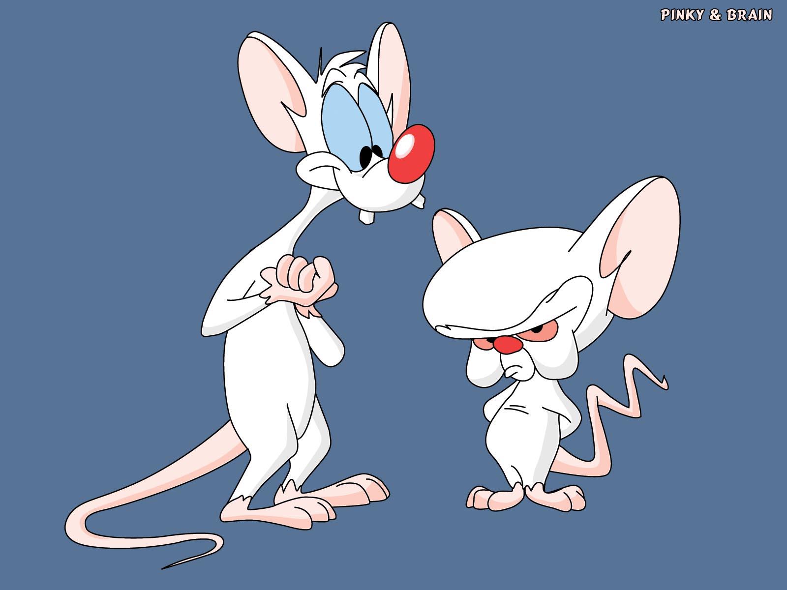 High Quality Pinky and the brain Blank Meme Template