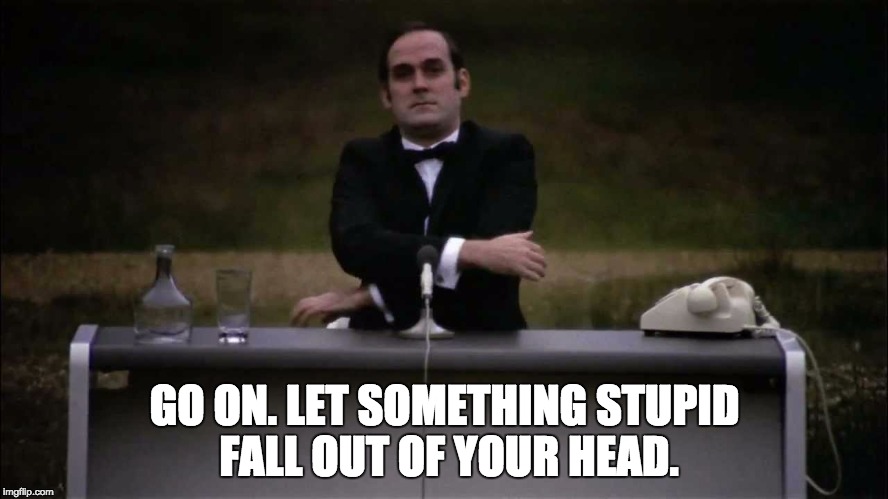 Monty Python | GO ON. LET SOMETHING STUPID FALL OUT OF YOUR HEAD. | image tagged in monty python | made w/ Imgflip meme maker