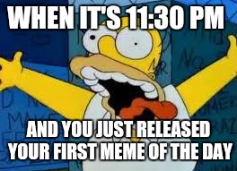 Homer Going Crazy | WHEN IT'S 11:30 PM; AND YOU JUST RELEASED YOUR FIRST MEME OF THE DAY | image tagged in homer going crazy | made w/ Imgflip meme maker