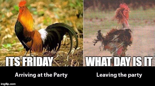 before and after | ITS FRIDAY                WHAT DAY IS IT | image tagged in before and after | made w/ Imgflip meme maker