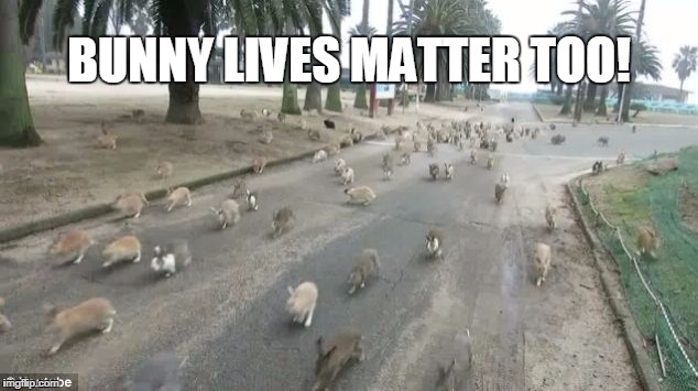 BUNNY LIVES MATTER TOO! | image tagged in bunny lives matter too | made w/ Imgflip meme maker