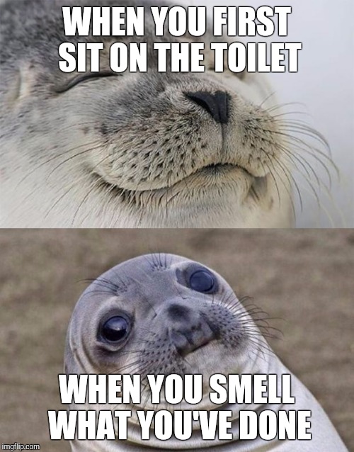 Short Satisfaction VS Truth Meme | WHEN YOU FIRST SIT ON THE TOILET; WHEN YOU SMELL WHAT YOU'VE DONE | image tagged in memes,short satisfaction vs truth | made w/ Imgflip meme maker