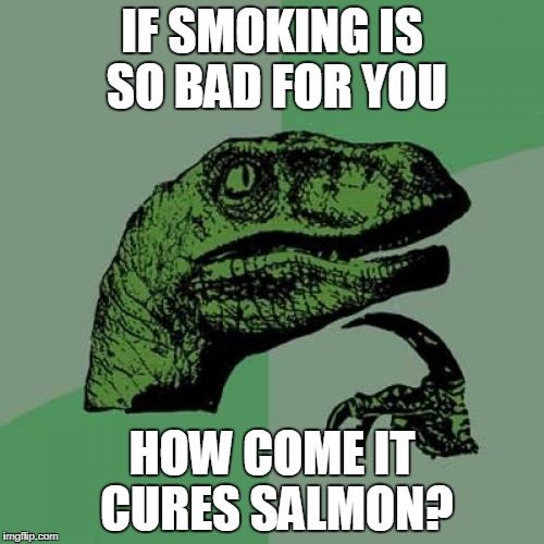 Philosoraptor Meme |  IF SMOKING IS SO BAD FOR YOU; HOW COME IT CURES SALMON? | image tagged in memes,philosoraptor | made w/ Imgflip meme maker