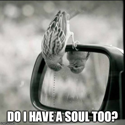 soul | DO I HAVE A SOUL TOO? | image tagged in soul | made w/ Imgflip meme maker