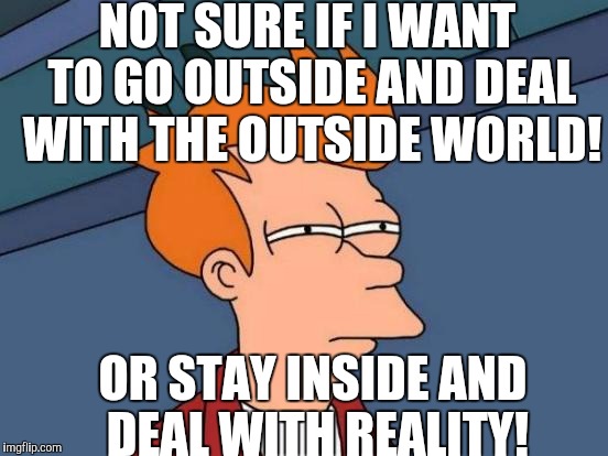 Reality sux really! | NOT SURE IF I WANT TO GO OUTSIDE AND DEAL WITH THE OUTSIDE WORLD! OR STAY INSIDE AND DEAL WITH REALITY! | image tagged in memes,futurama fry | made w/ Imgflip meme maker