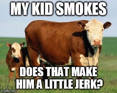 beefcow1 | MY KID SMOKES; DOES THAT MAKE HIM A LITTLE JERK? | image tagged in beefcow1 | made w/ Imgflip meme maker
