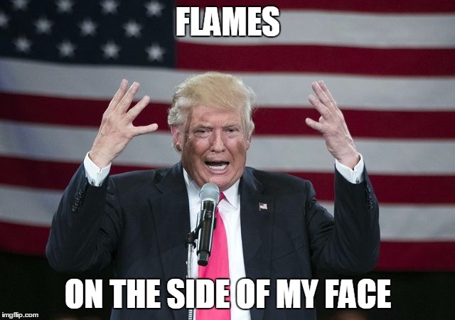 Angry Trump |  FLAMES; ON THE SIDE OF MY FACE | image tagged in angry trump | made w/ Imgflip meme maker