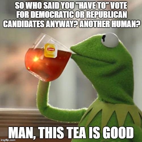 But That's None Of My Business Meme | SO WHO SAID YOU "HAVE TO" VOTE FOR DEMOCRATIC OR REPUBLICAN CANDIDATES ANYWAY? ANOTHER HUMAN? MAN, THIS TEA IS GOOD | image tagged in memes,but thats none of my business,kermit the frog | made w/ Imgflip meme maker