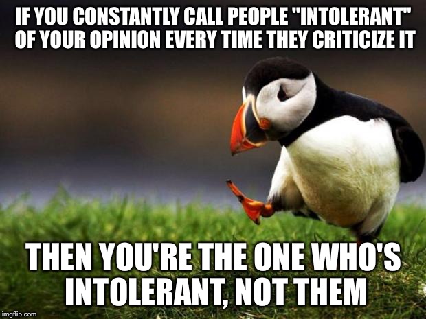 Unpopular Opinion Puffin Meme | IF YOU CONSTANTLY CALL PEOPLE "INTOLERANT" OF YOUR OPINION EVERY TIME THEY CRITICIZE IT; THEN YOU'RE THE ONE WHO'S INTOLERANT, NOT THEM | image tagged in memes,unpopular opinion puffin | made w/ Imgflip meme maker