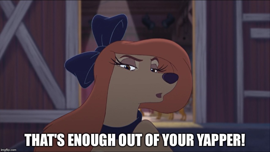 That's Enough Out Of Your Yapper! | THAT'S ENOUGH OUT OF YOUR YAPPER! | image tagged in dixie tough,memes,disney,the fox and the hound 2,reba mcentire,dog | made w/ Imgflip meme maker