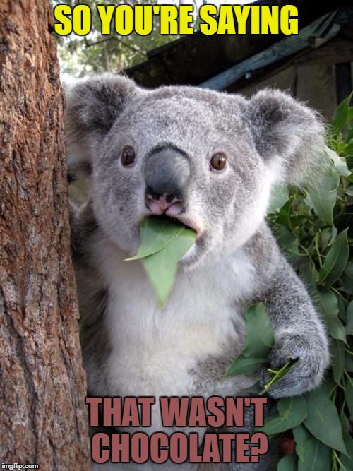 Surprised Koala | SO YOU'RE SAYING; THAT WASN'T CHOCOLATE? | image tagged in memes,surprised koala,template quest,funny,chocolate egg | made w/ Imgflip meme maker