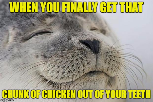 This always happens when I go to Dairy Queen. | WHEN YOU FINALLY GET THAT; CHUNK OF CHICKEN OUT OF YOUR TEETH | image tagged in memes,satisfied seal,template quest,funny | made w/ Imgflip meme maker