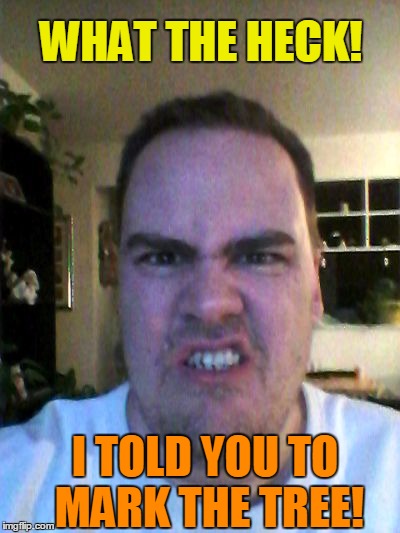 Grrr | WHAT THE HECK! I TOLD YOU TO MARK THE TREE! | image tagged in grrr | made w/ Imgflip meme maker