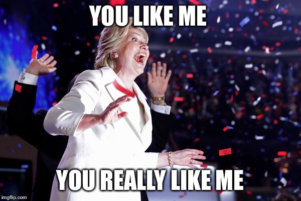 Hillary 2016 | YOU LIKE ME; YOU REALLY LIKE ME | image tagged in election 2016 | made w/ Imgflip meme maker