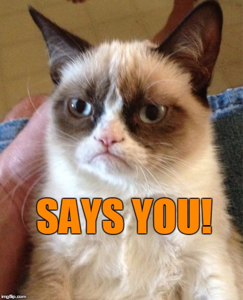 Grumpy Cat Meme | SAYS YOU! | image tagged in memes,grumpy cat | made w/ Imgflip meme maker