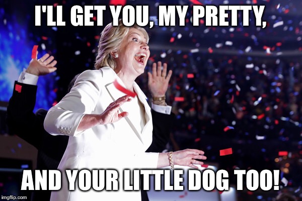 Hillary 2016 |  I'LL GET YOU, MY PRETTY, AND YOUR LITTLE DOG TOO! | image tagged in election 2016 | made w/ Imgflip meme maker