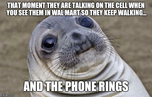 Awkward Moment Sealion | THAT MOMENT THEY ARE TALKING ON THE CELL WHEN YOU SEE THEM IN WAL MART SO THEY KEEP WALKING... AND THE PHONE RINGS | image tagged in memes,awkward moment sealion | made w/ Imgflip meme maker