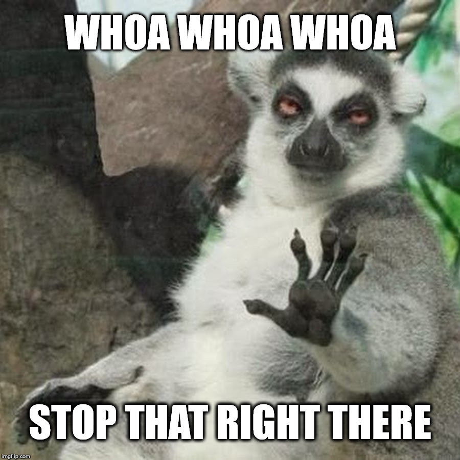 Stop That | WHOA WHOA WHOA; STOP THAT RIGHT THERE | image tagged in stop,whoa,lemur,chill out lemur | made w/ Imgflip meme maker